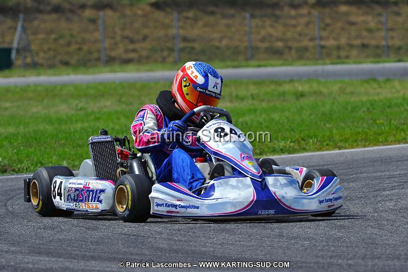 DSC_ (533).jpg